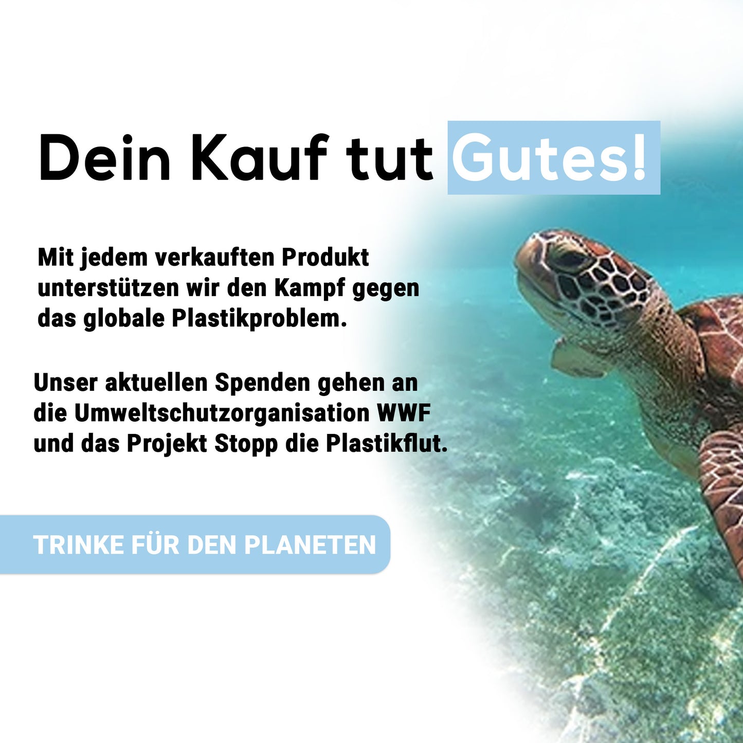 Clear Wasserfilter für Philips & Saeco Kaffeemaschinen komp. mit AquaClean CA6903 - Pack 03