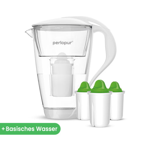 Glas-Wasserfilter inkl. 3 Filterkartuschen
