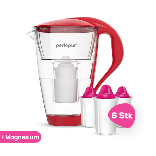 Glas-Wasserfilter inkl. 6 Filterkartuschen