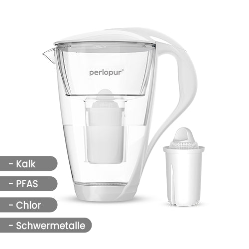 Glas-Wasserfilter inkl. 1 Filterkartusche